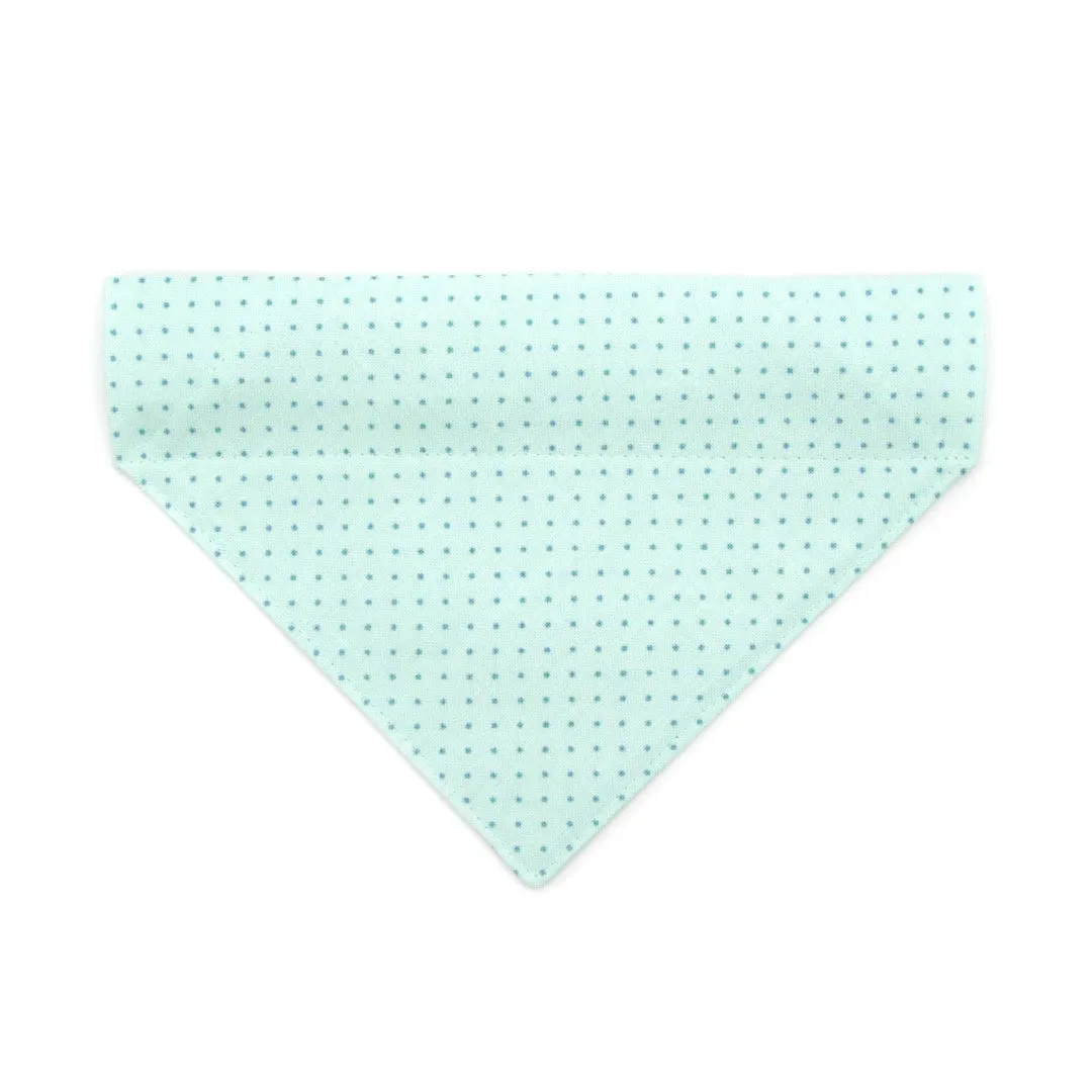 Pet Bandana - "Mint To Be" - Pastel Mint Polka Dot Bandana for Cat   Small Dog / Spring, Easter, Summer / Slide-on Bandana / Over-the-Collar (One Size)