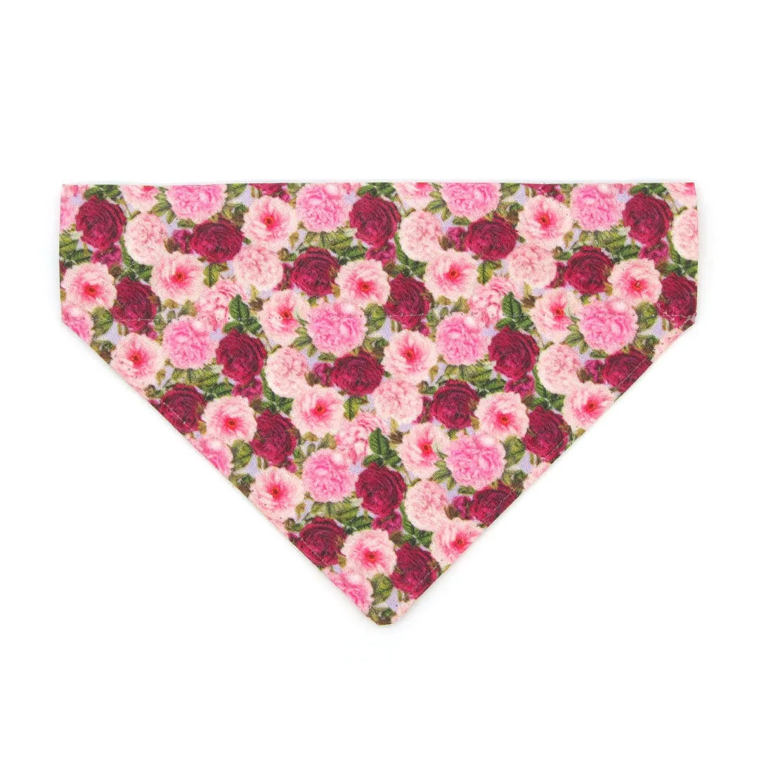 Pet Bandana - "Pretty in Peony - Purple" - Peonies Bandana for Cat   Small Dog / Slide-on Bandana / Over-the-Collar (One Size)