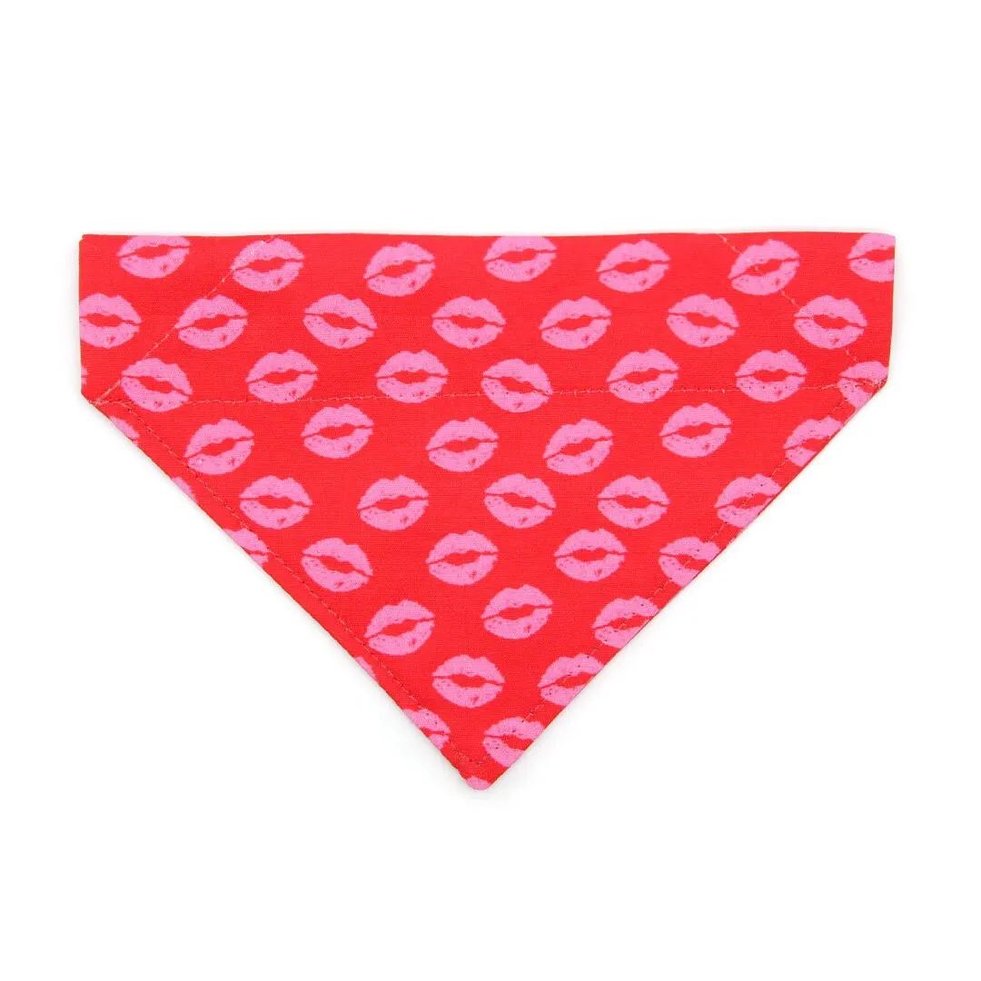 Pet Bandana - "Pucker Up" - Valentine's Day Bandana for Cat   Small Dog / Pink & Red Lipstick Kisses / Slide-on Bandana / Over-the-Collar (One Size)