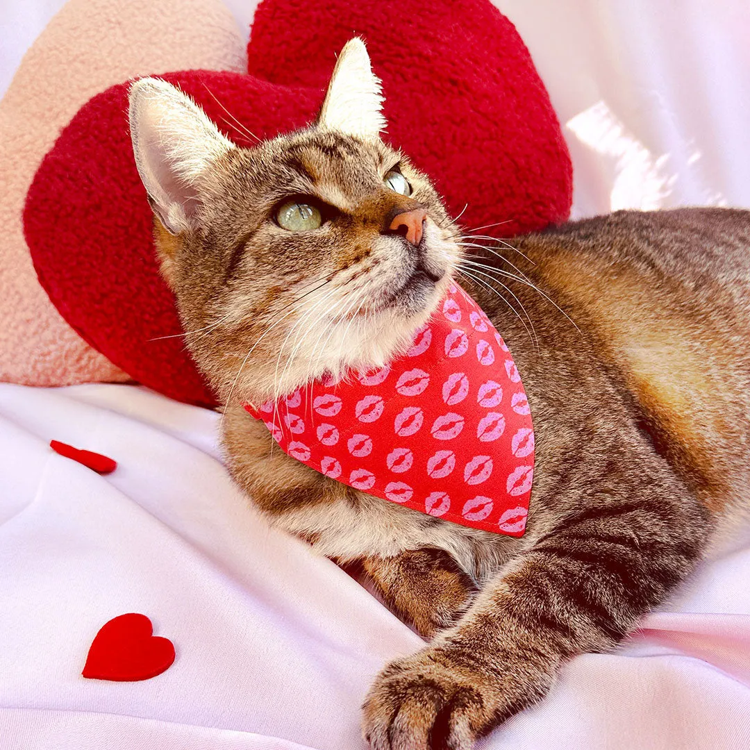 Pet Bandana - "Pucker Up" - Valentine's Day Bandana for Cat   Small Dog / Pink & Red Lipstick Kisses / Slide-on Bandana / Over-the-Collar (One Size)
