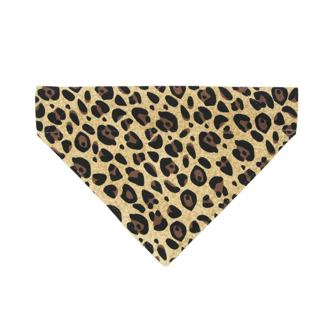 Pet Bandana - "Safari" - Leopard Animal Print Bandana for Cat   Small Dog / Slide-on Bandana / Over-the-Collar (One Size)