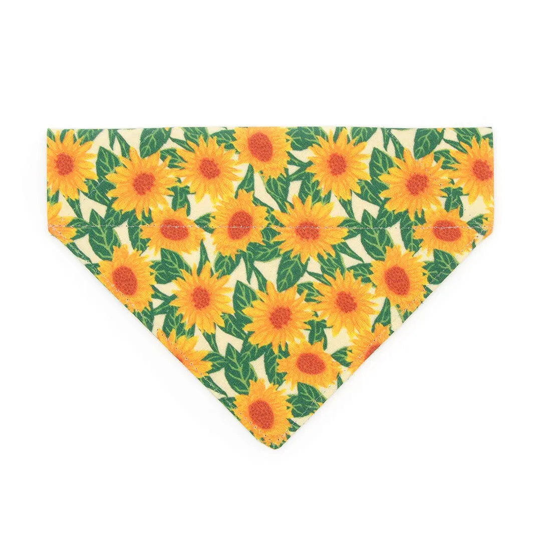 Pet Bandana - "Sunflowers" - Yellow Floral Bandana for Cat   Small Dog / Slide-on Bandana / Over-the-Collar (One Size)