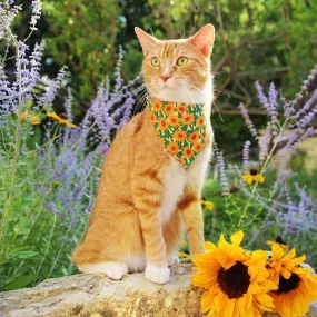Pet Bandana - "Sunflowers" - Yellow Floral Bandana for Cat   Small Dog / Slide-on Bandana / Over-the-Collar (One Size)
