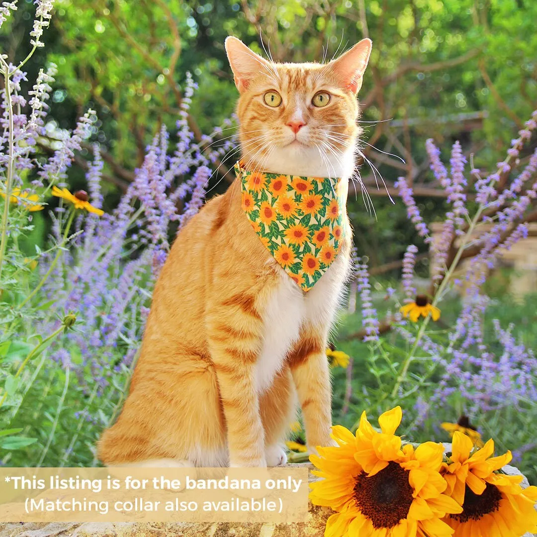 Pet Bandana - "Sunflowers" - Yellow Floral Bandana for Cat   Small Dog / Slide-on Bandana / Over-the-Collar (One Size)