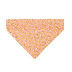 Pet Bandana - "Sweet Tooth" - Halloween Pink Candy Corn Bandana for Cat   Small Dog / Slide-on Bandana / Over-the-Collar (One Size)