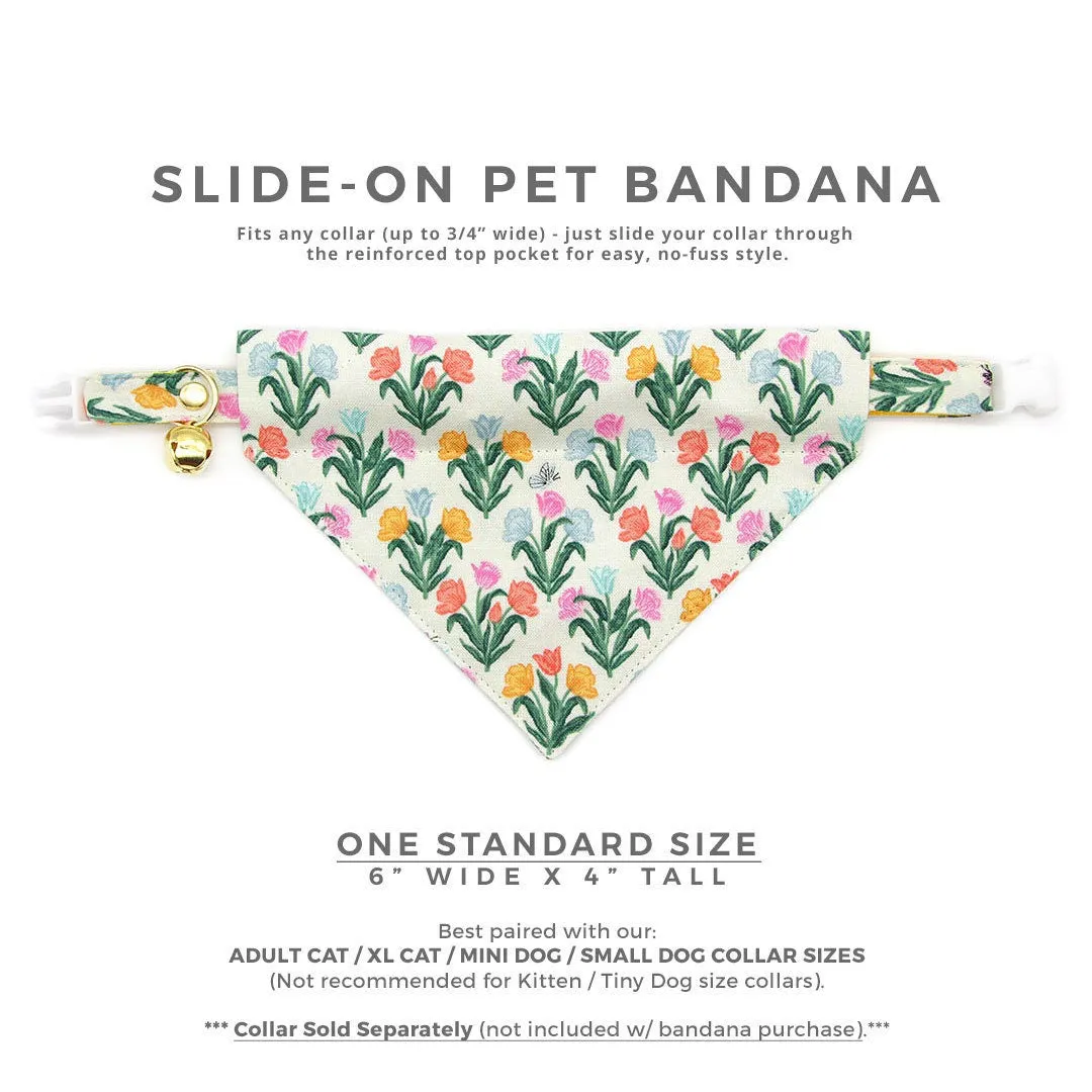 Pet Bandana - "Tulip Fields - Cream" - Rifle Paper Co® Floral Bandana for Cat   Small Dog / Spring, Easter / Slide-on Bandana / Over-the-Collar (One Size)