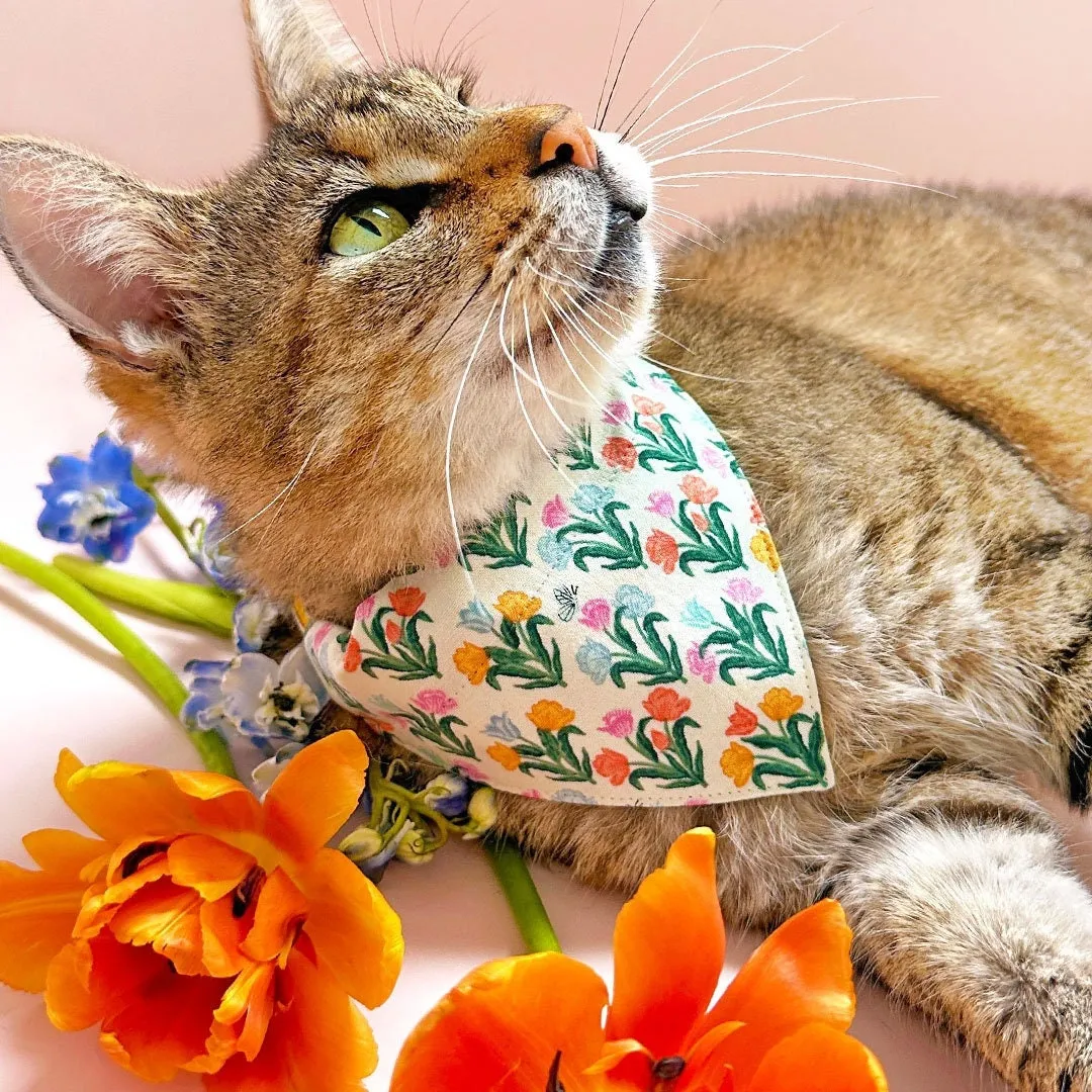 Pet Bandana - "Tulip Fields - Cream" - Rifle Paper Co® Floral Bandana for Cat   Small Dog / Spring, Easter / Slide-on Bandana / Over-the-Collar (One Size)