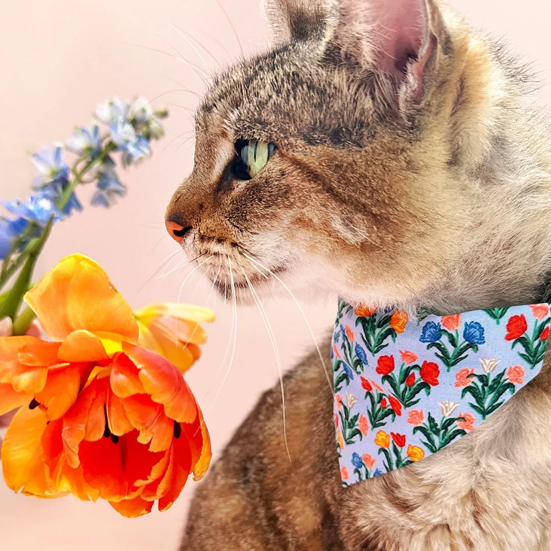 Pet Bandana - "Tulip Fields - Periwinkle" - Rifle Paper Co® Blue Floral Bandana for Cat   Small Dog / Spring, Easter / Slide-on Bandana / Over-the-Collar (One Size)