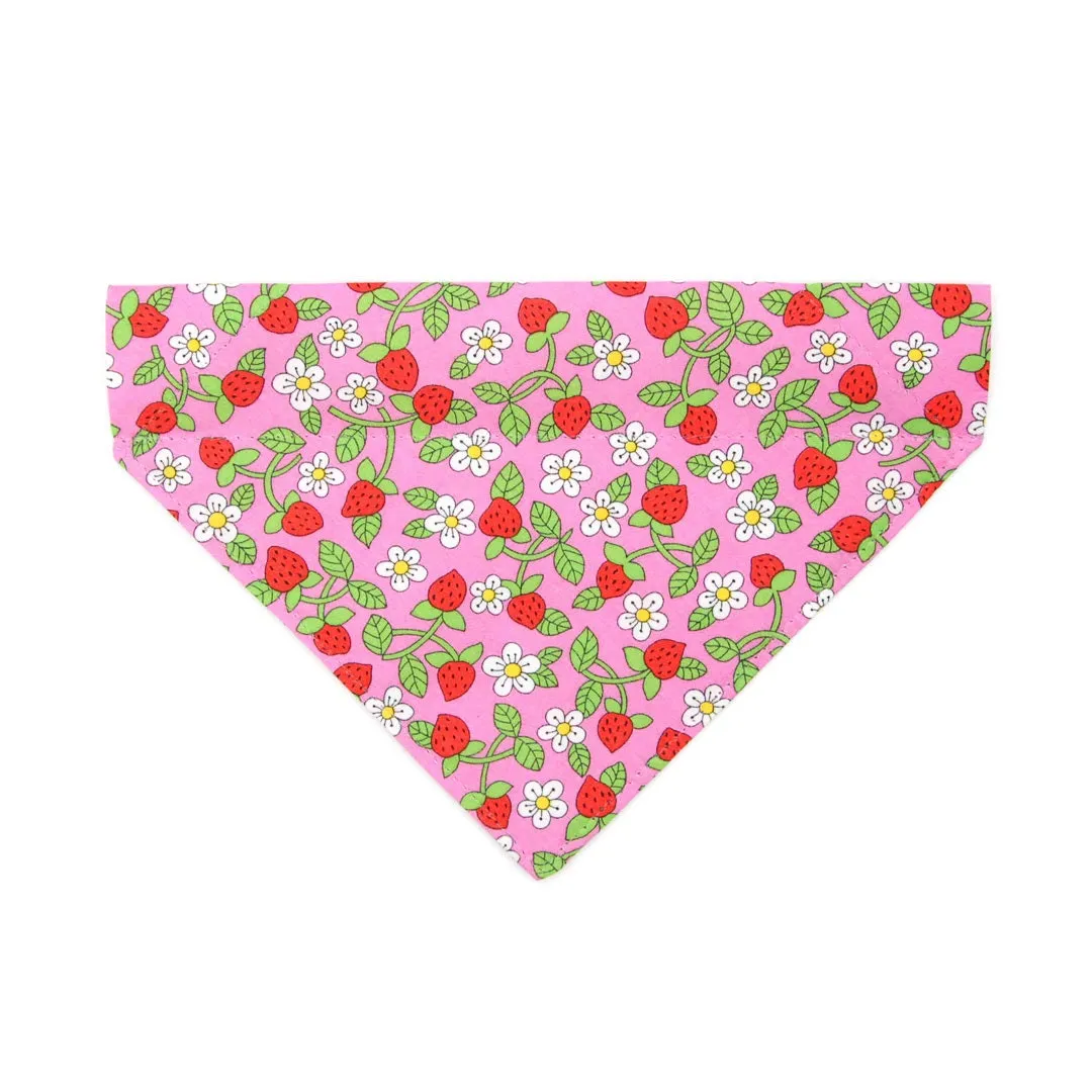 Pet Bandana - "Wild Strawberry - Pink" - Liberty of London® Berry Floral Bandana for Cat   Small Dog / Spring   Summer / Slide-on Bandana / Over-the-Collar (One Size)