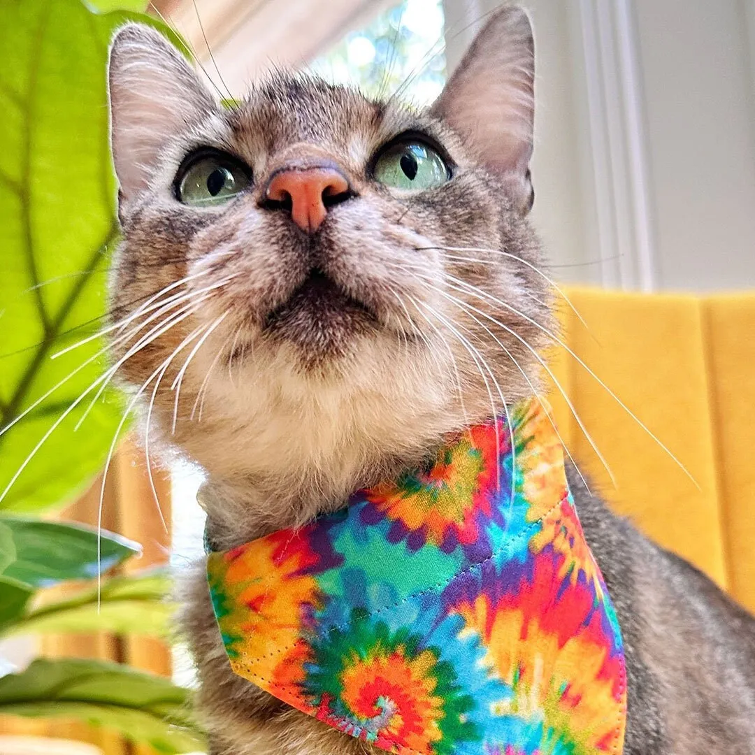Pet Bandana - "Woodstock" - Rainbow Tie Dye Bandana for Cat   Small Dog / Summer, Boho, Hippie, LGBTQ  Pride / Slide-on Bandana / Over-the-Collar (One Size)