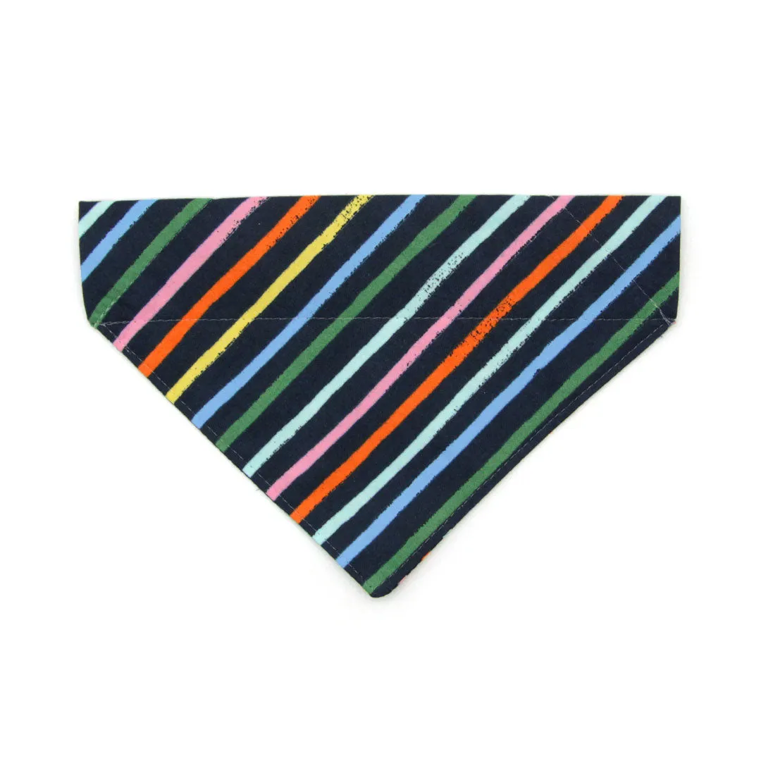 Rifle Paper Co® Cat Bandana - "Cape Cod" - Rainbow Stripe Bandana for Cat   Small Dog / Summer / Nautical / Slide-on Bandana / Over-the-Collar