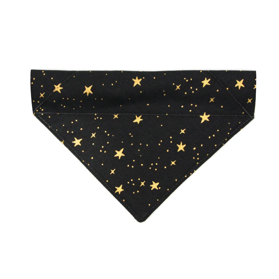 Rifle Paper Co® Cat Bandana - "Noir" - Black & Gold Star Bandana for Cat Collar or Small Dog Collar / Slide-on Bandana / Over-the-Collar (One Size)